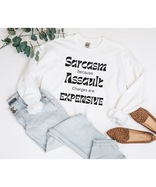 Sarcasm because Assault Charges are Expensive Long Sleeve Tee